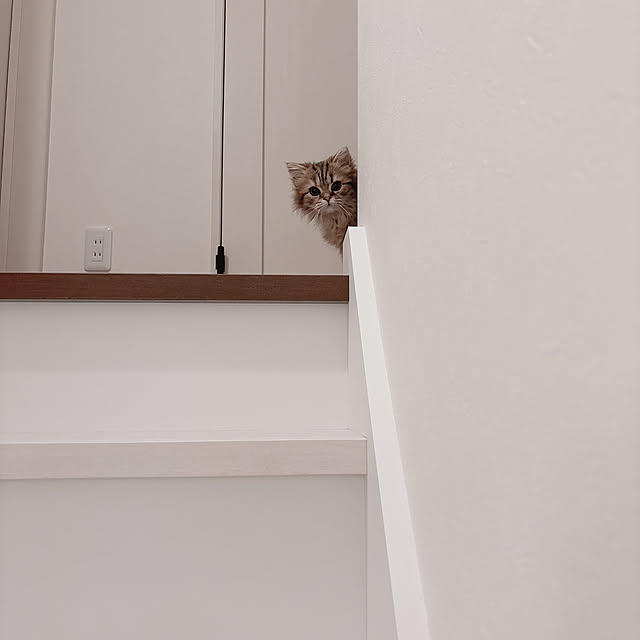 miyu39さんの実例写真