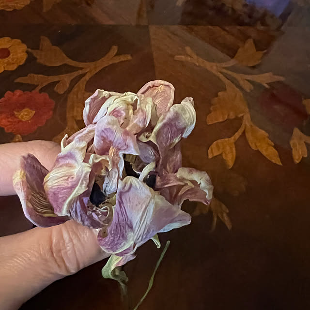 AYUKOさんの部屋