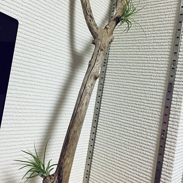 Yoshihisaさんの実例写真