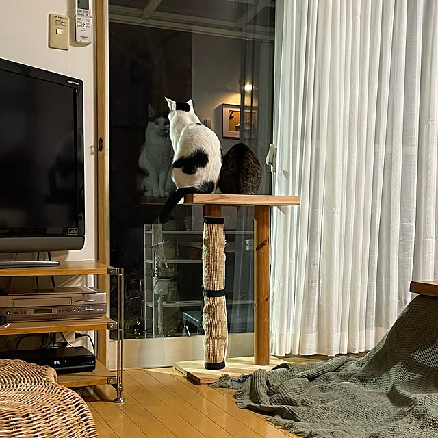 nobikoさんの実例写真
