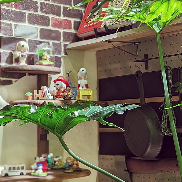 GINさんの部屋