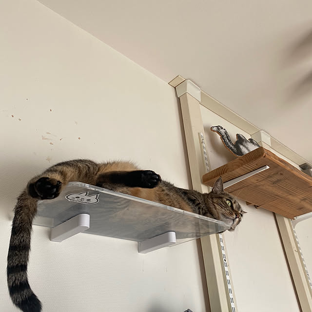 mikomaruさんの実例写真