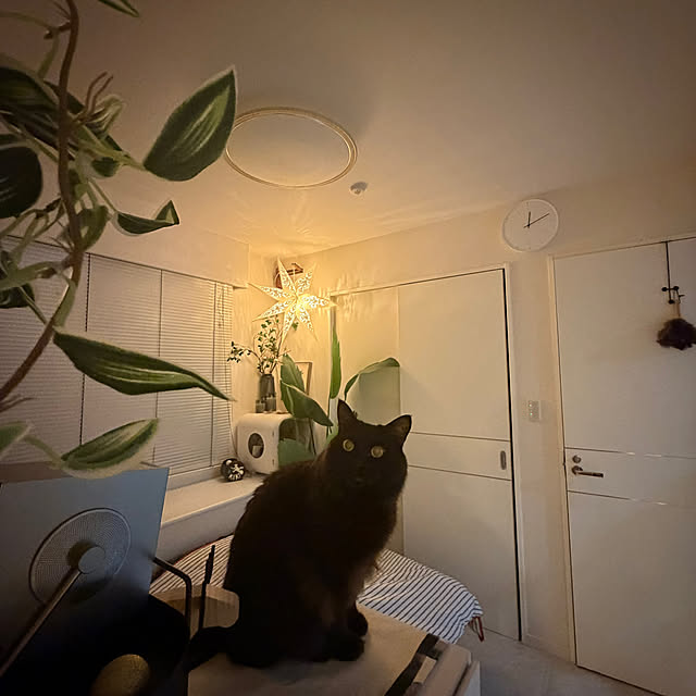 akihcclipさんの実例写真