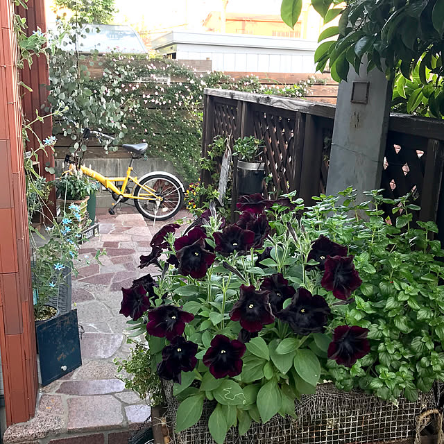 bibianさんの実例写真