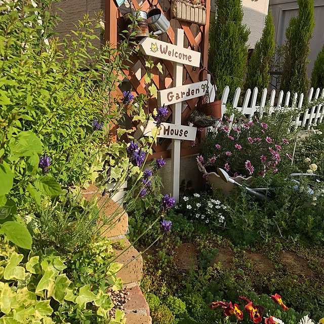 mini_archさんの実例写真