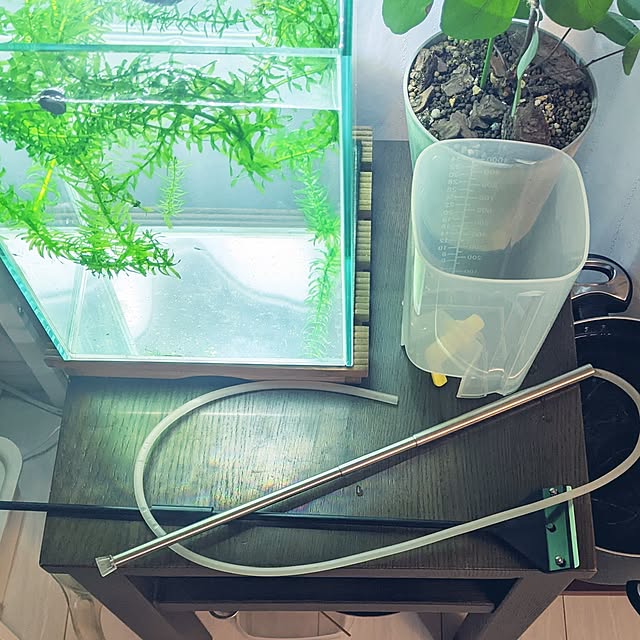 mi-saさんの部屋