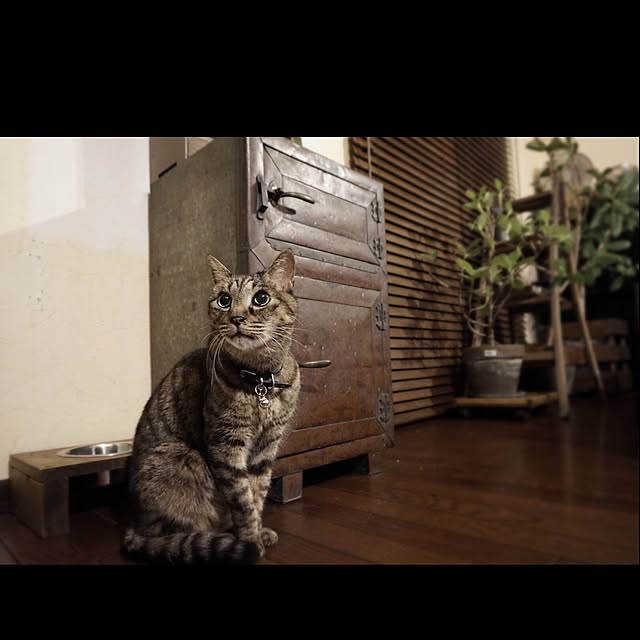 jnkaiさんの実例写真