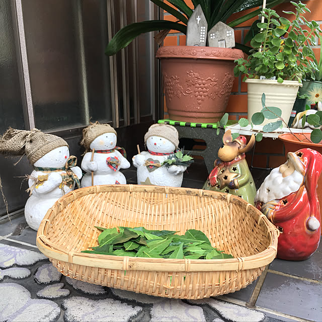miporinさんの実例写真