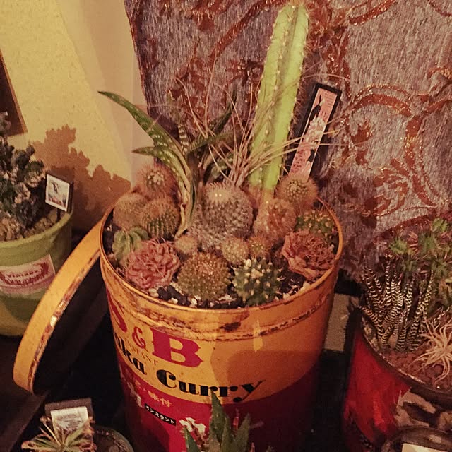 Masahideさんの実例写真