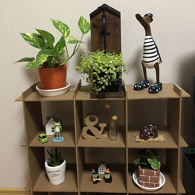 rinさんの実例写真
