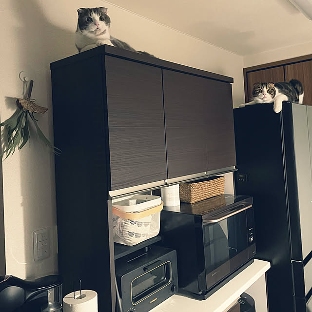 tansukeさんの部屋