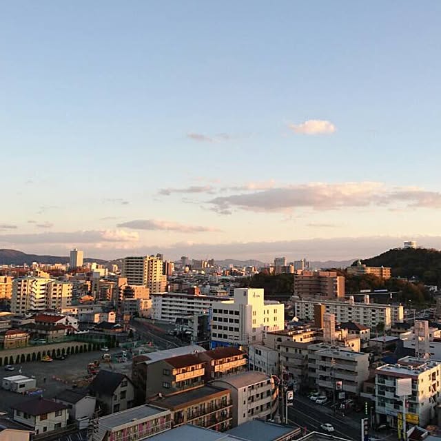 実例写真