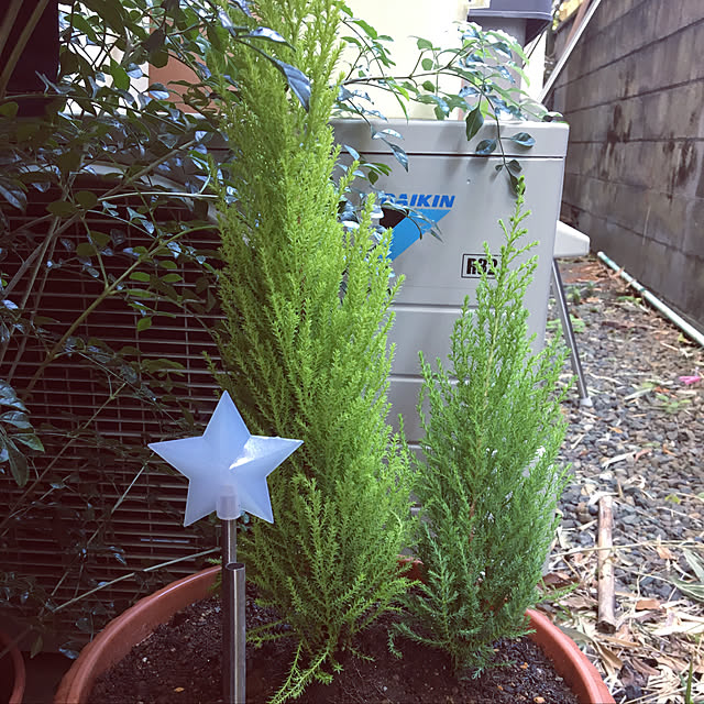 yomiyomiさんの実例写真