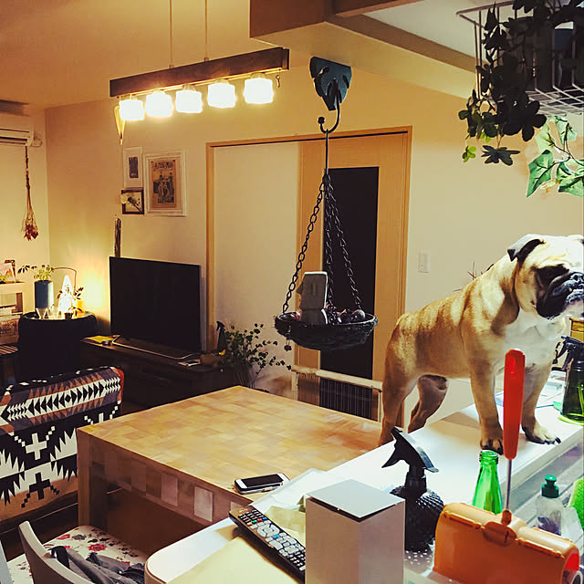 nanpeさんの実例写真