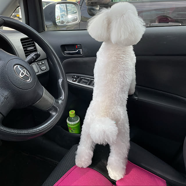 kakoさんの実例写真