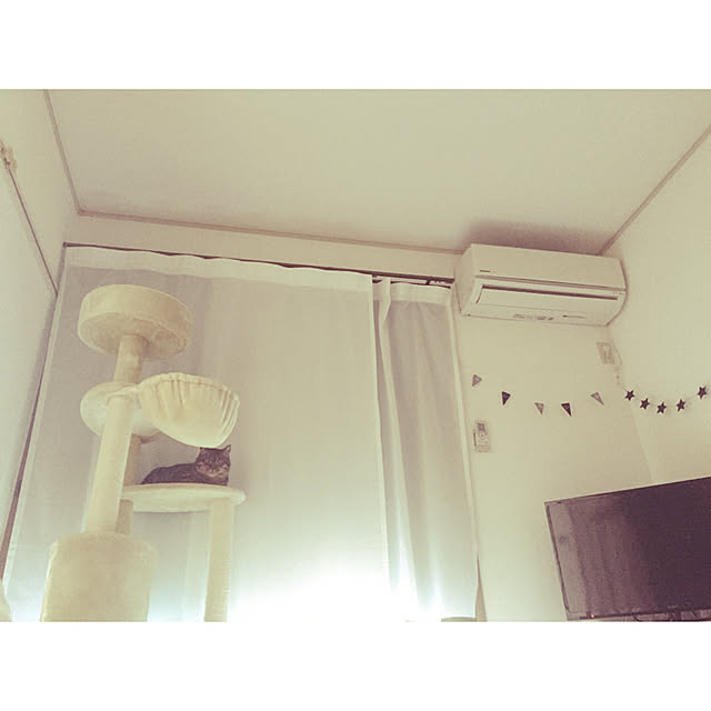 nocomomさんの実例写真