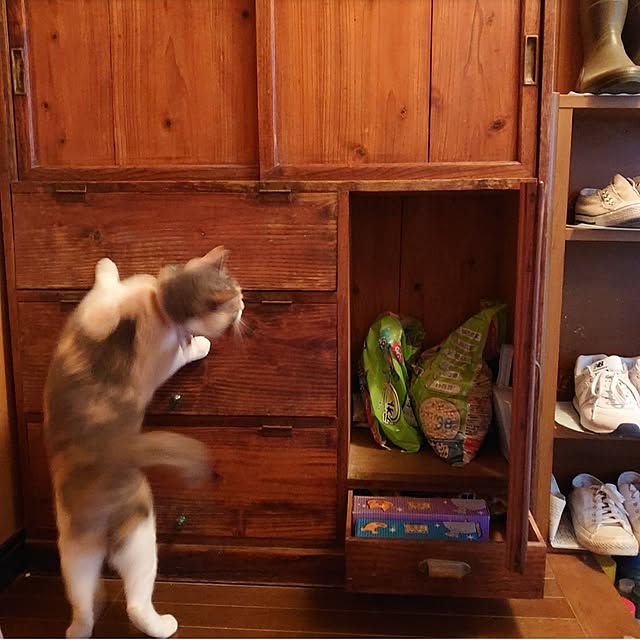 fukuさんの部屋