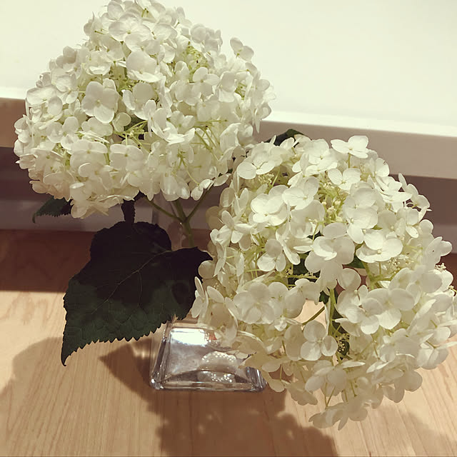 Yamaさんの実例写真