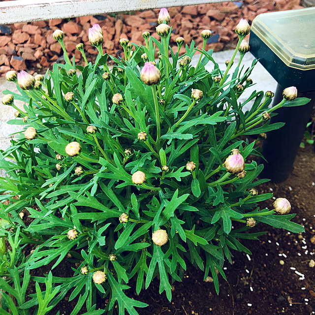 tomoさんの部屋