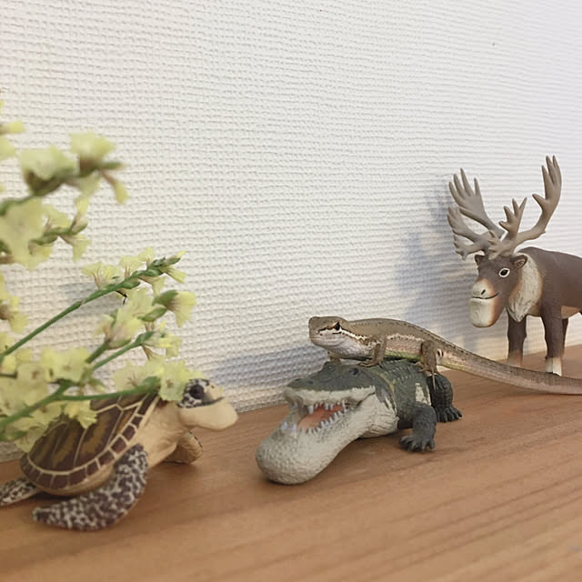oasisさんの実例写真