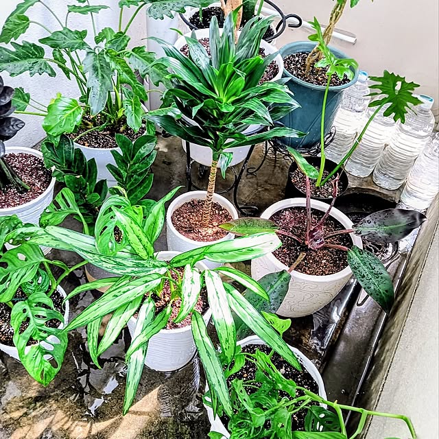 hanachanさんの部屋