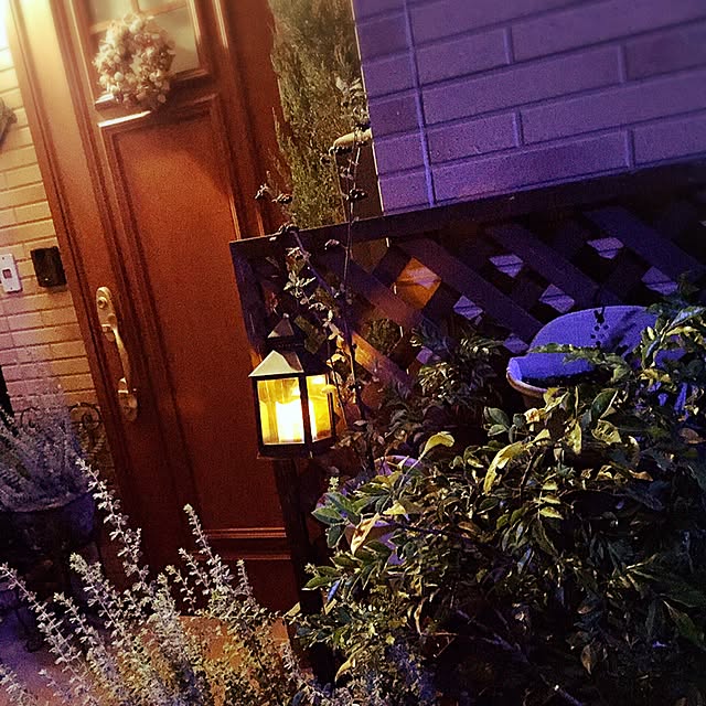 xigyanさんの実例写真