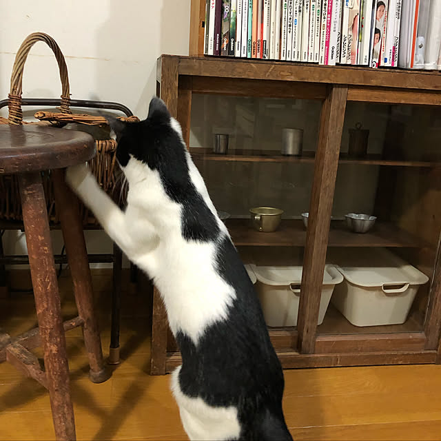 Yukihoさんの実例写真
