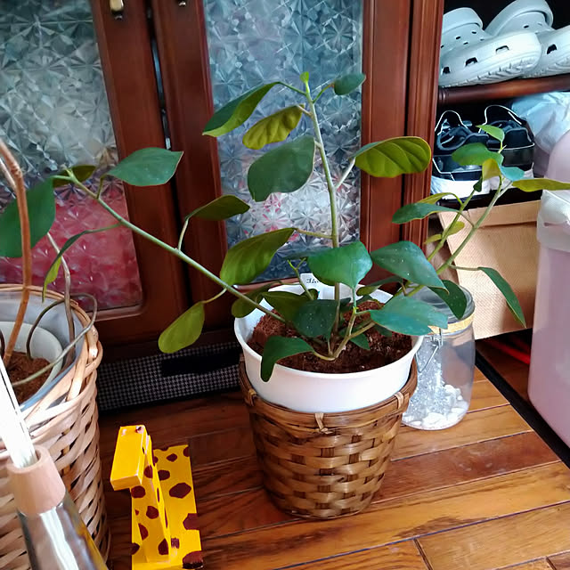 Tさんの実例写真