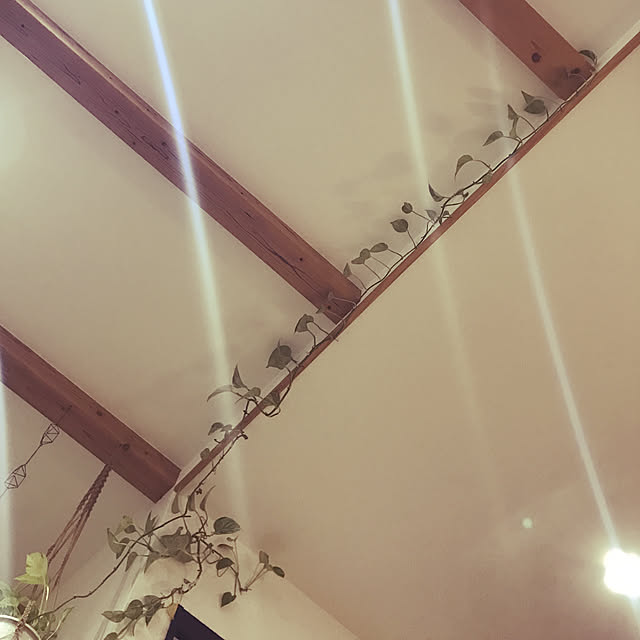 MiRiderさんの実例写真