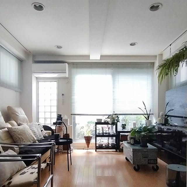 jinさんの実例写真