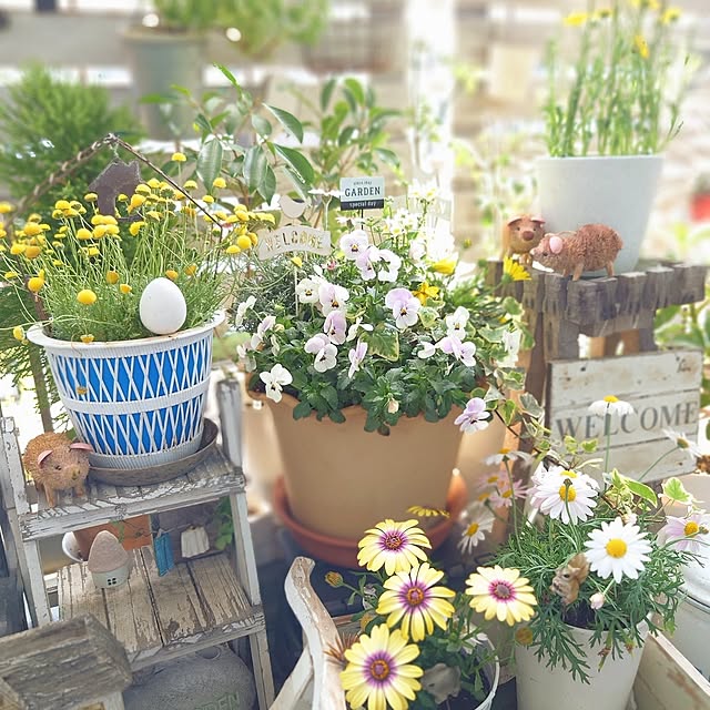 mikanさんの部屋