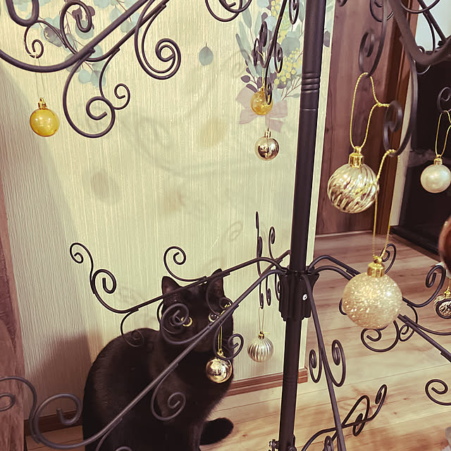 harukaさんの部屋