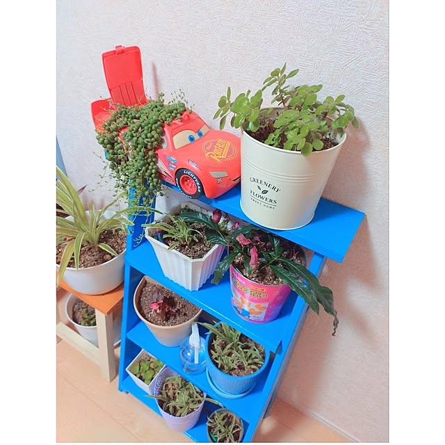 Miyumamaさんの実例写真