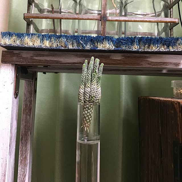 tetra163さんの実例写真