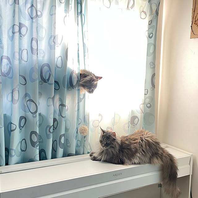 mayumiさんの部屋
