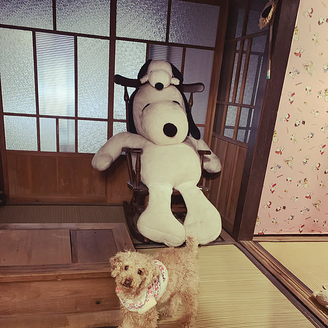 himipuuさんの実例写真