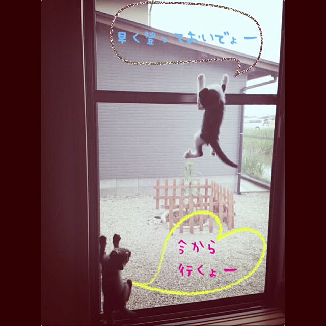 konatsuさんの実例写真