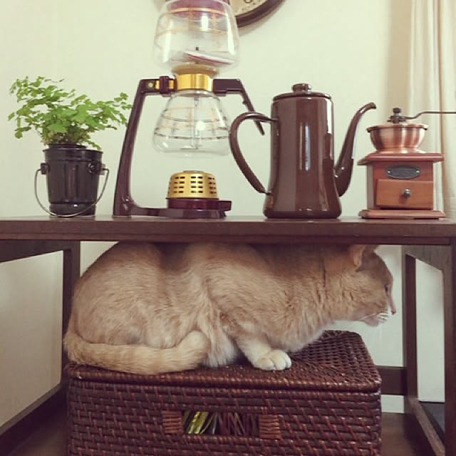 mikan161さんの実例写真