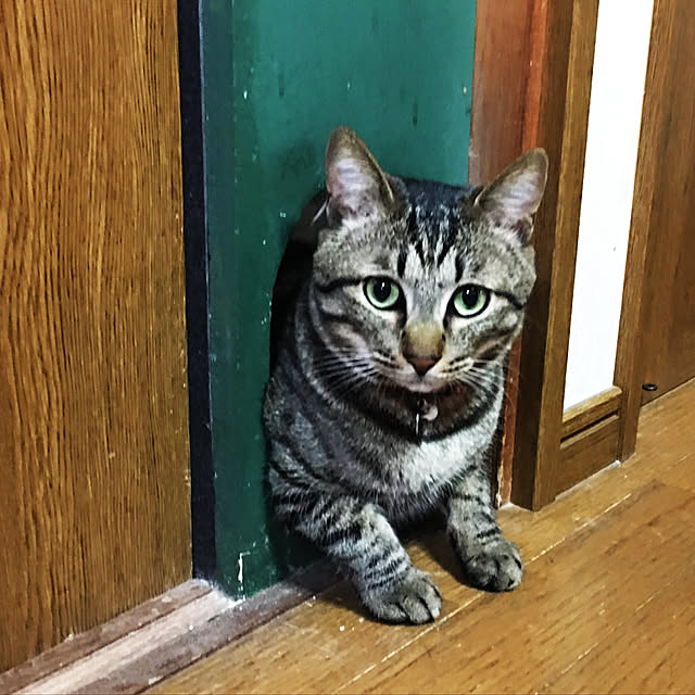 kmakkyiさんの実例写真