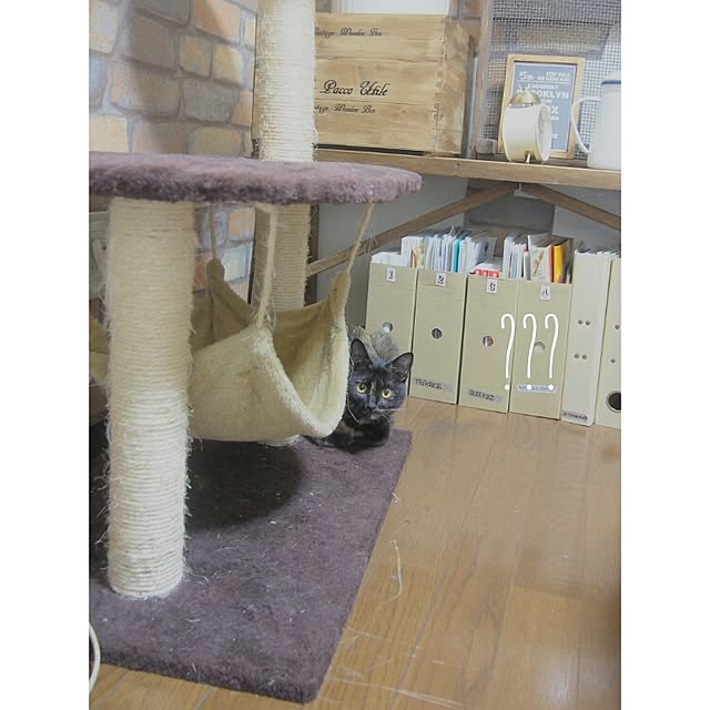 Ryoさんの実例写真