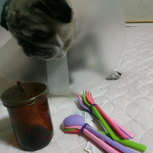 powさんの実例写真