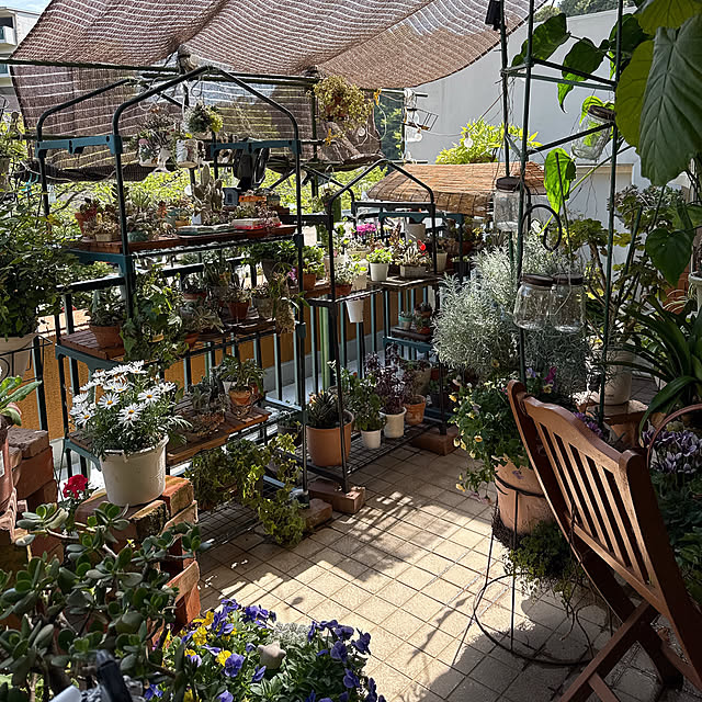 Aqettyさんの部屋