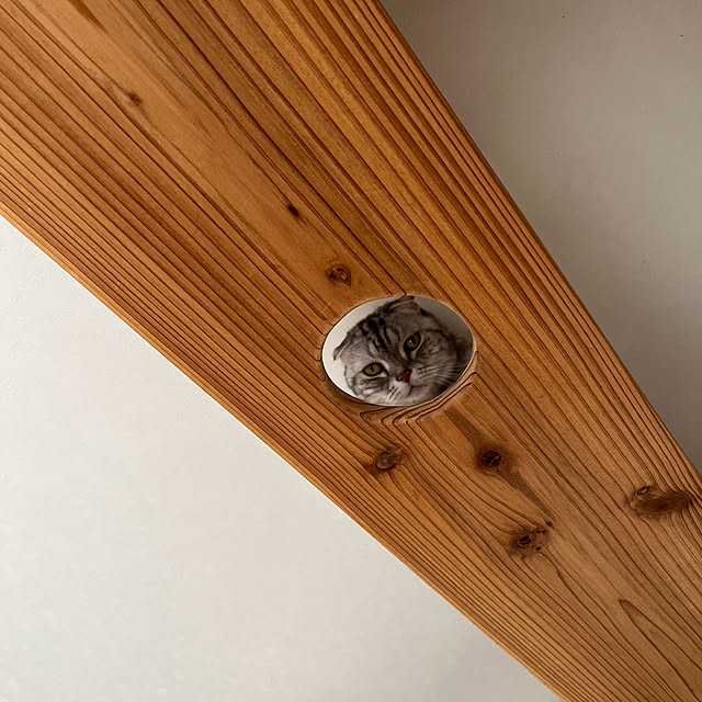 kuuさんの部屋
