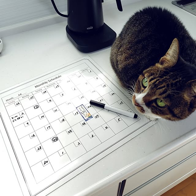 nachiさんの実例写真