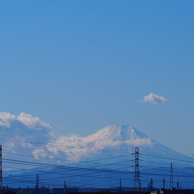 実例写真