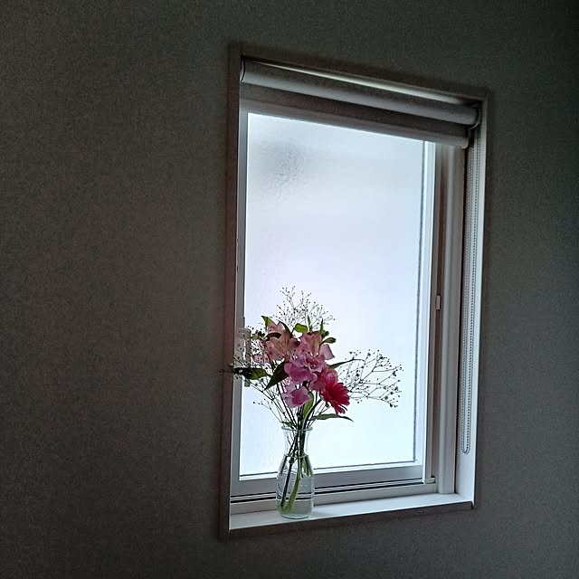 anemone37さんの部屋