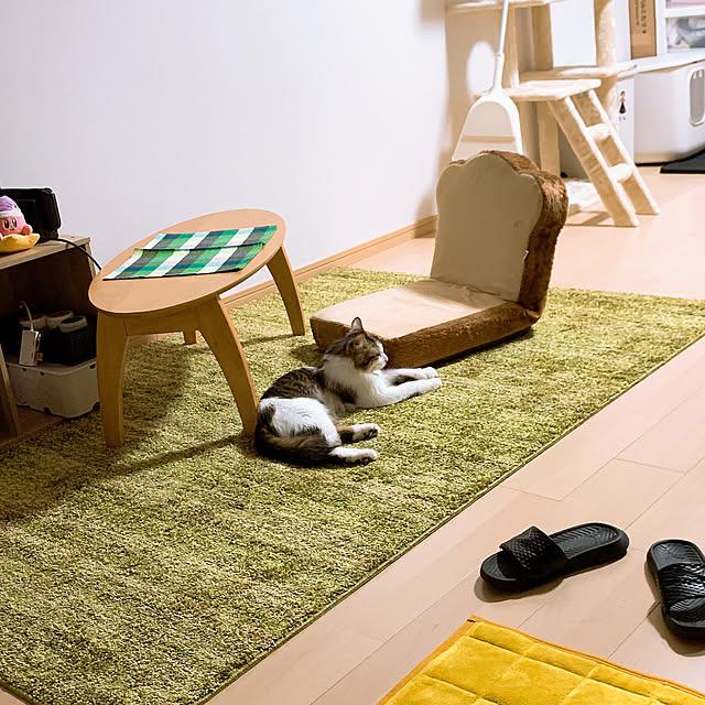 Asakiさんの実例写真