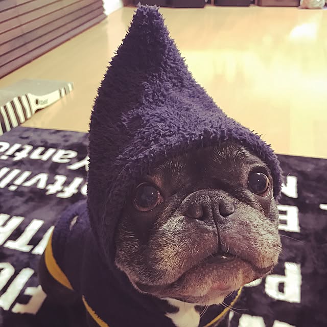 pinokoさんの実例写真