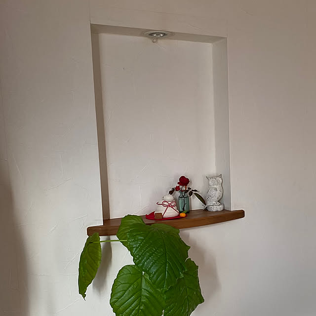 misacoさんの部屋