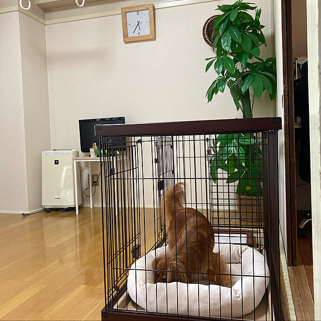 toratanさんの実例写真